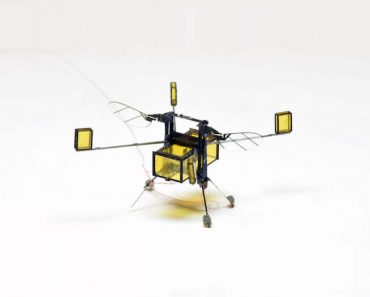 RoboBee, el asombroso microrobot que vuela, nada, bucea y sale volando del agua