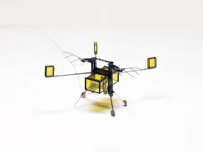 RoboBee, el asombroso microrobot que vuela, nada, bucea y sale volando del agua