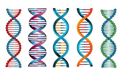 Profluent fusiona IA y CRISPR en un ambicioso proyecto de edición genética