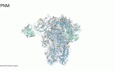 AlphaFold 3 augura una transformación sin precedentes en la ciencia al predecir estructuras moleculares complejas